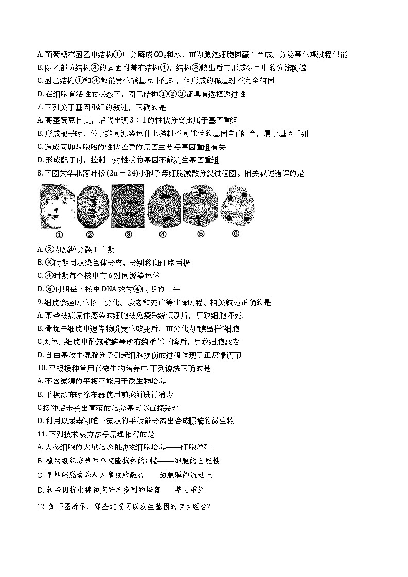 天津市西青区杨柳青第一中学2024-2025学年高三上学期11月期中生物试题第2页