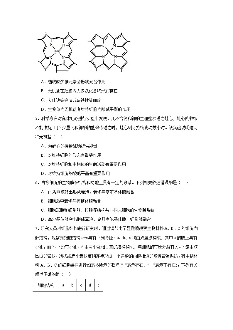 湖南省常德市汉寿县汉寿县第一中学2024-2025学年高一上学期11月期中生物试题第2页