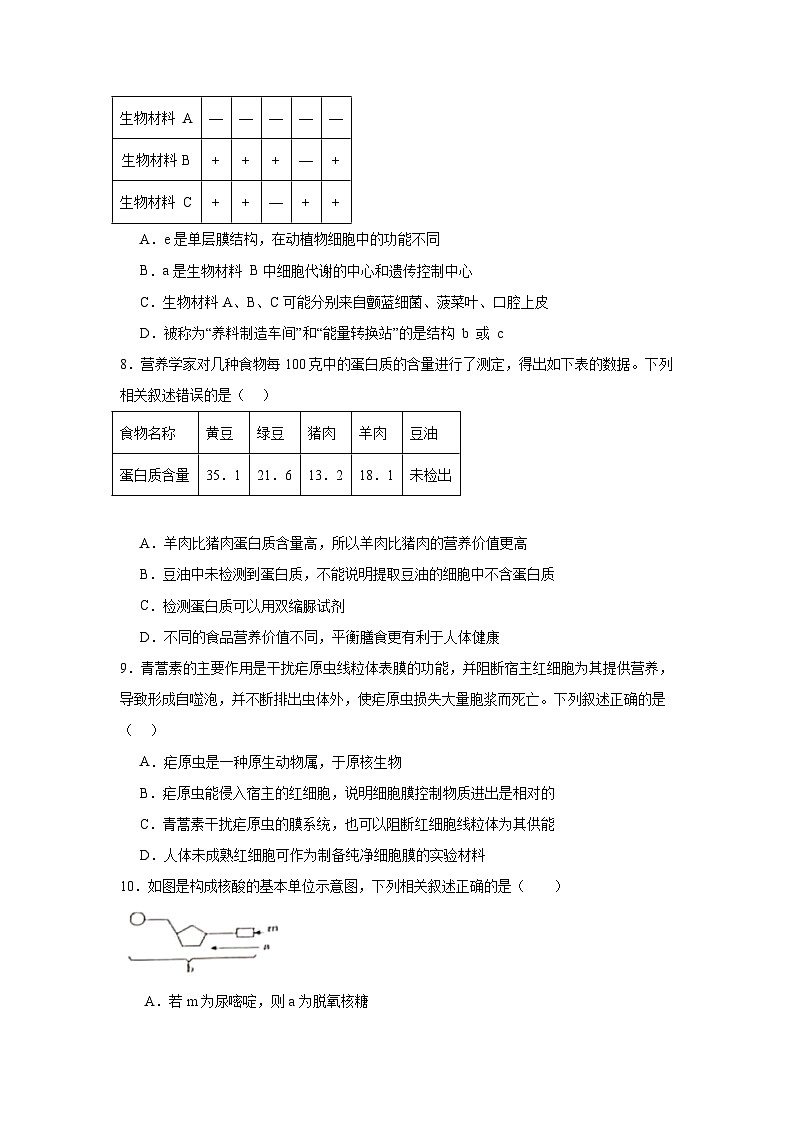 湖南省常德市汉寿县汉寿县第一中学2024-2025学年高一上学期11月期中生物试题第3页
