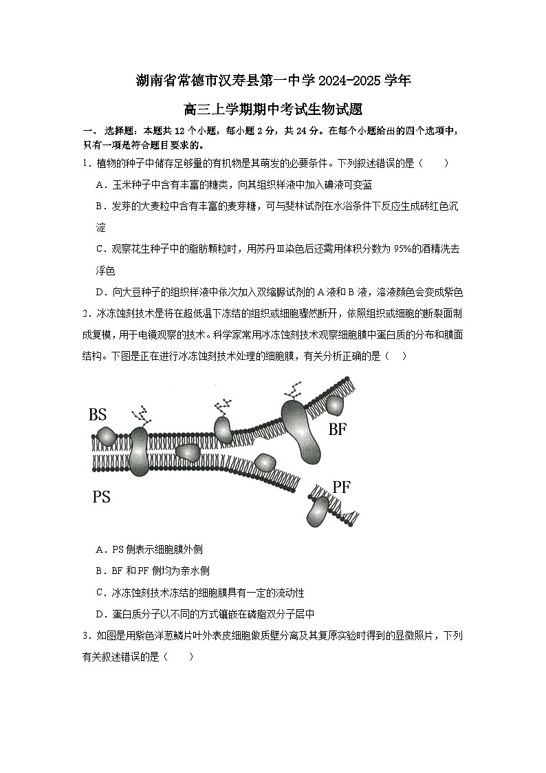 湖南省常德市汉寿县汉寿县第一中学2024-2025学年高三上学期11月期中生物试题第1页