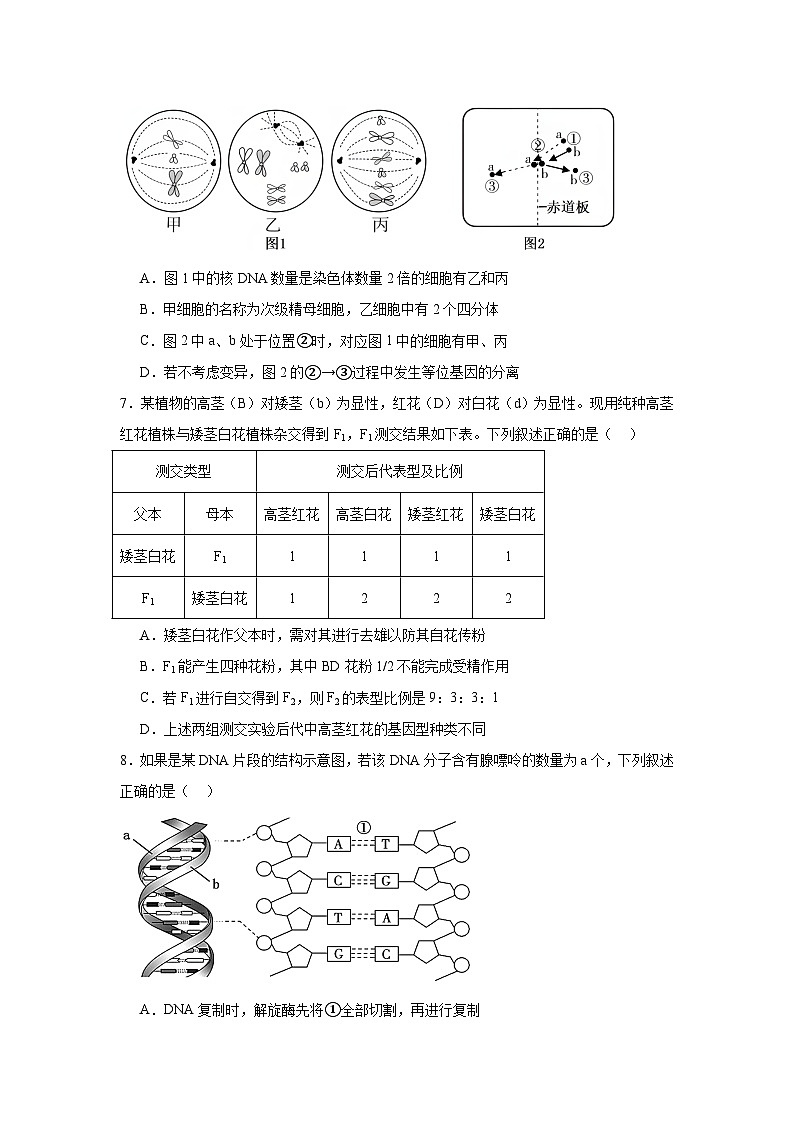 湖南省常德市汉寿县汉寿县第一中学2024-2025学年高三上学期11月期中生物试题第3页