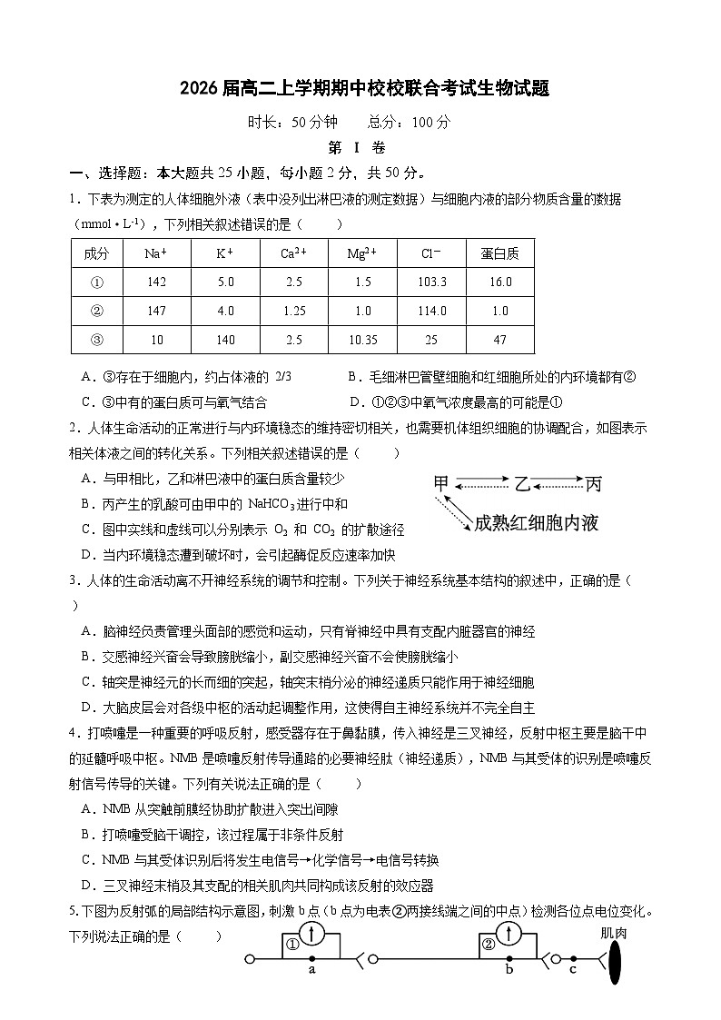 2026届高二上学期期中校校联合考试生物试题第1页