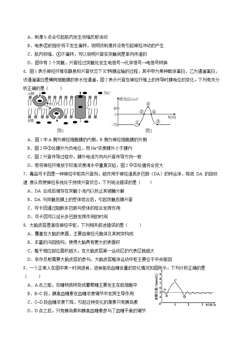 2026届高二上学期期中校校联合考试生物试题第2页