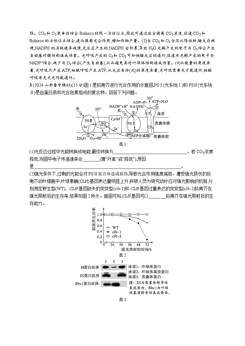备战2025年高考二轮复习生物（通用版）大题分析与表达练1细胞代谢（Word版附解析）第3页