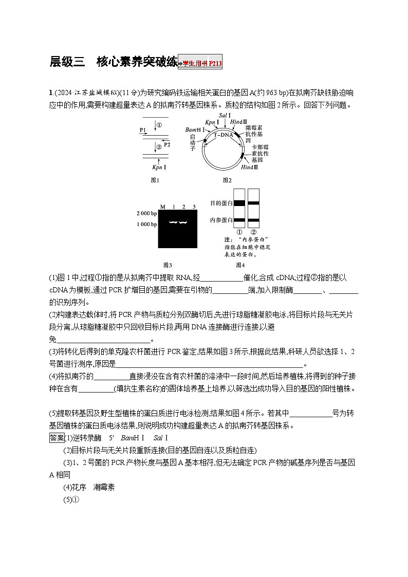 备战2025年高考二轮复习生物（通用版）大单元8生物技术与工程层级三核心素养突破练（Word版附解析）第1页