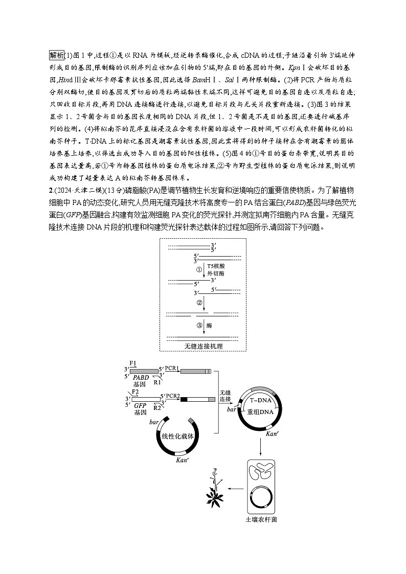 备战2025年高考二轮复习生物（通用版）大单元8生物技术与工程层级三核心素养突破练（Word版附解析）第2页