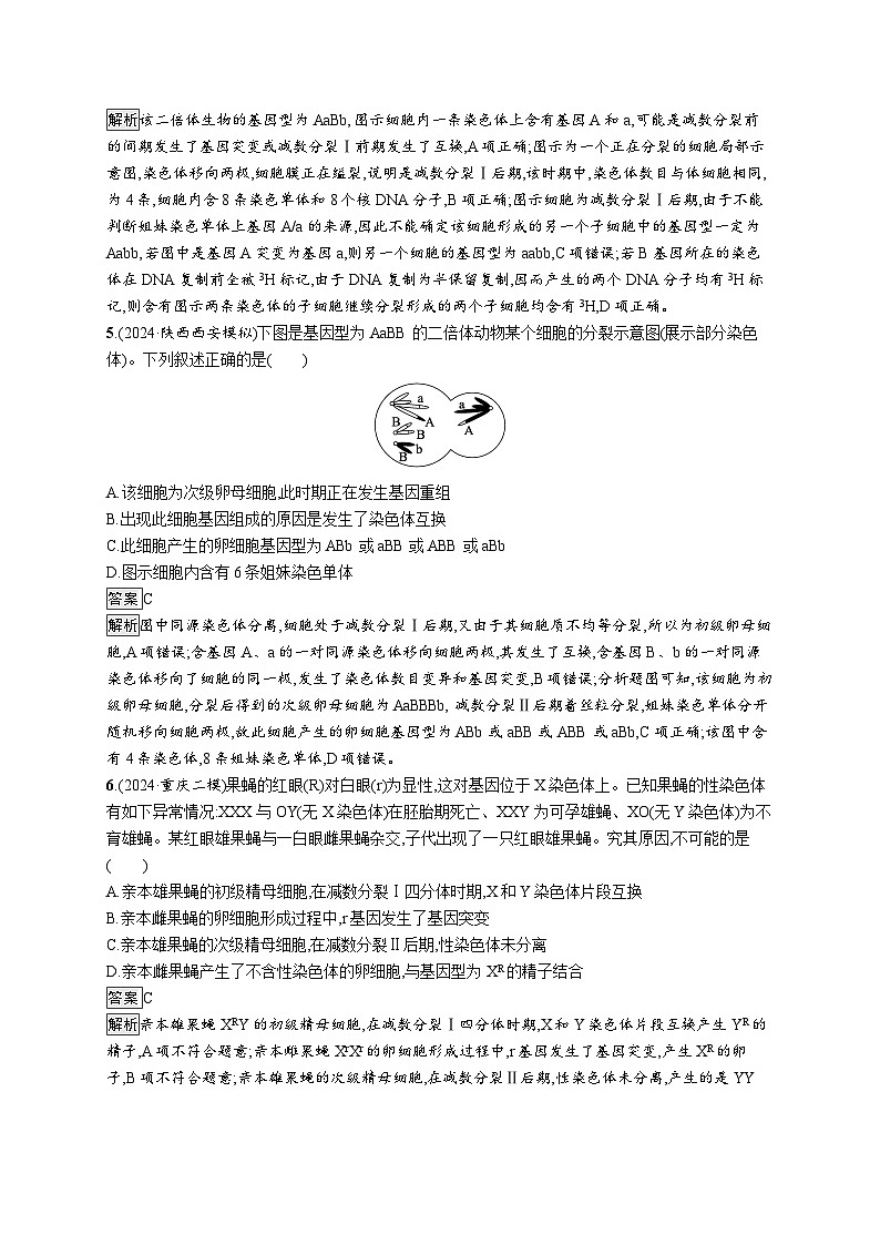 备战2025年高考二轮复习生物（通用版）大单元3细胞的增殖、分化、衰老和死亡等生命历程层级二关键突破提升练（Word版附解析）第3页