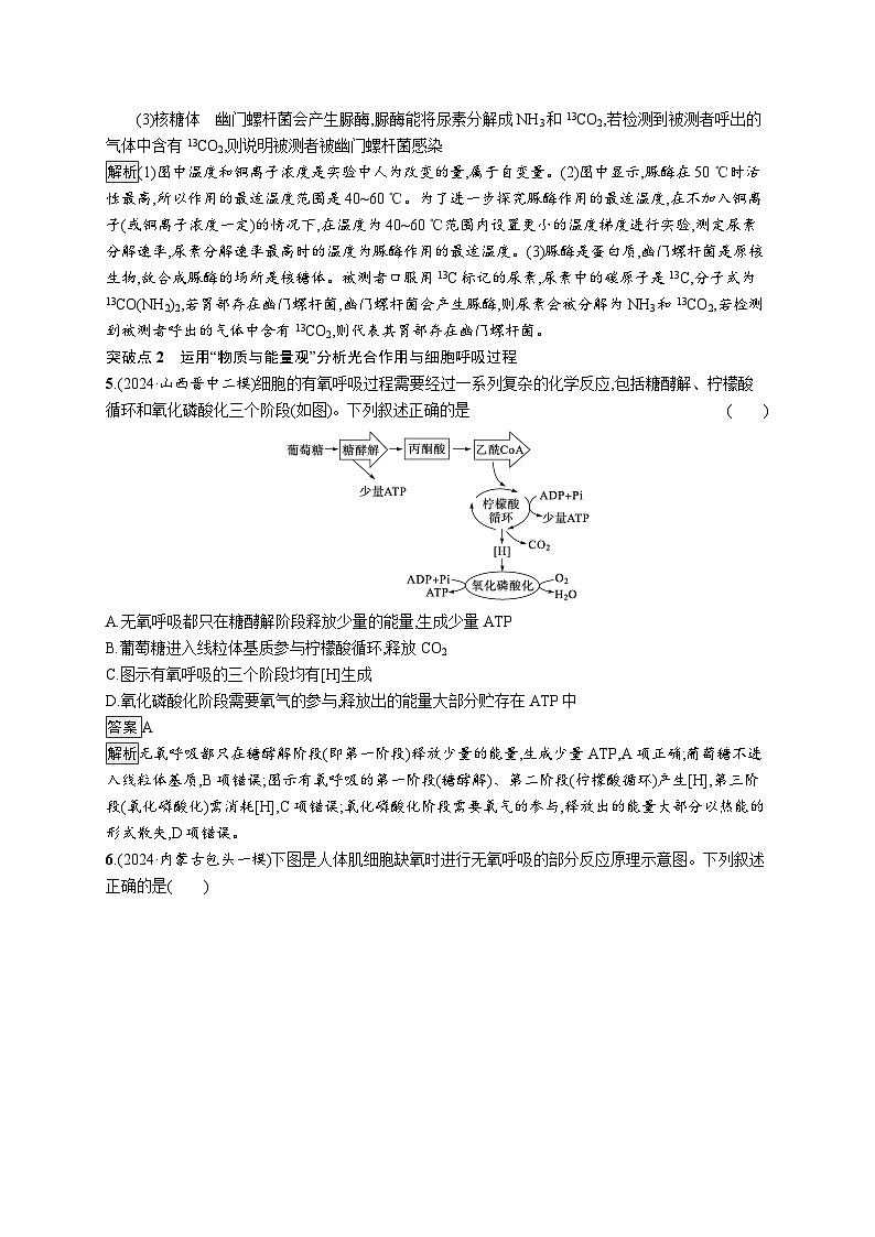 备战2025年高考二轮复习生物（通用版）大单元2细胞的生存需要能量和营养物质层级二关键突破提升练（Word版附解析）第3页
