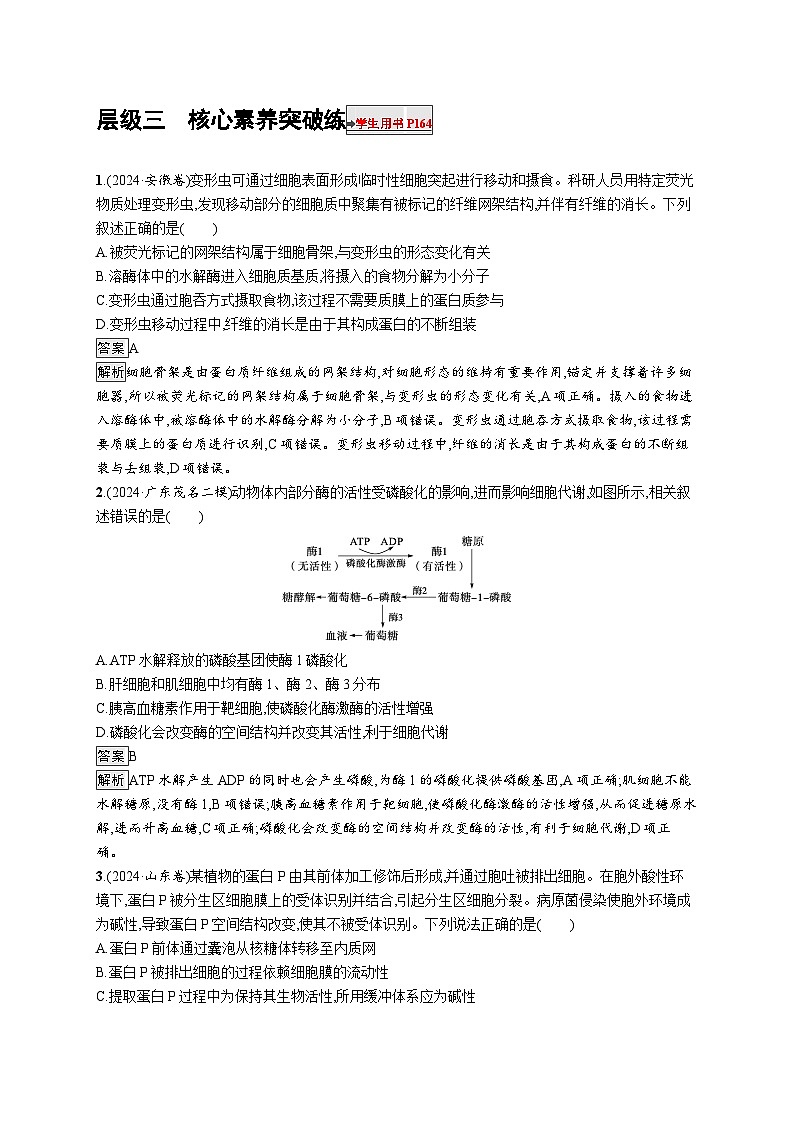 备战2025年高考二轮复习生物（通用版）大单元1细胞是生物体结构与生命活动的基本单位层级三核心素养突破练（Word版附解析）第1页
