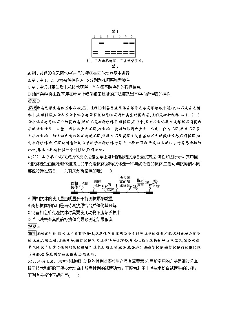 备战2025年高考二轮复习生物（山东版）知识对点小题练12生物技术与工程（Word版附解析）第2页