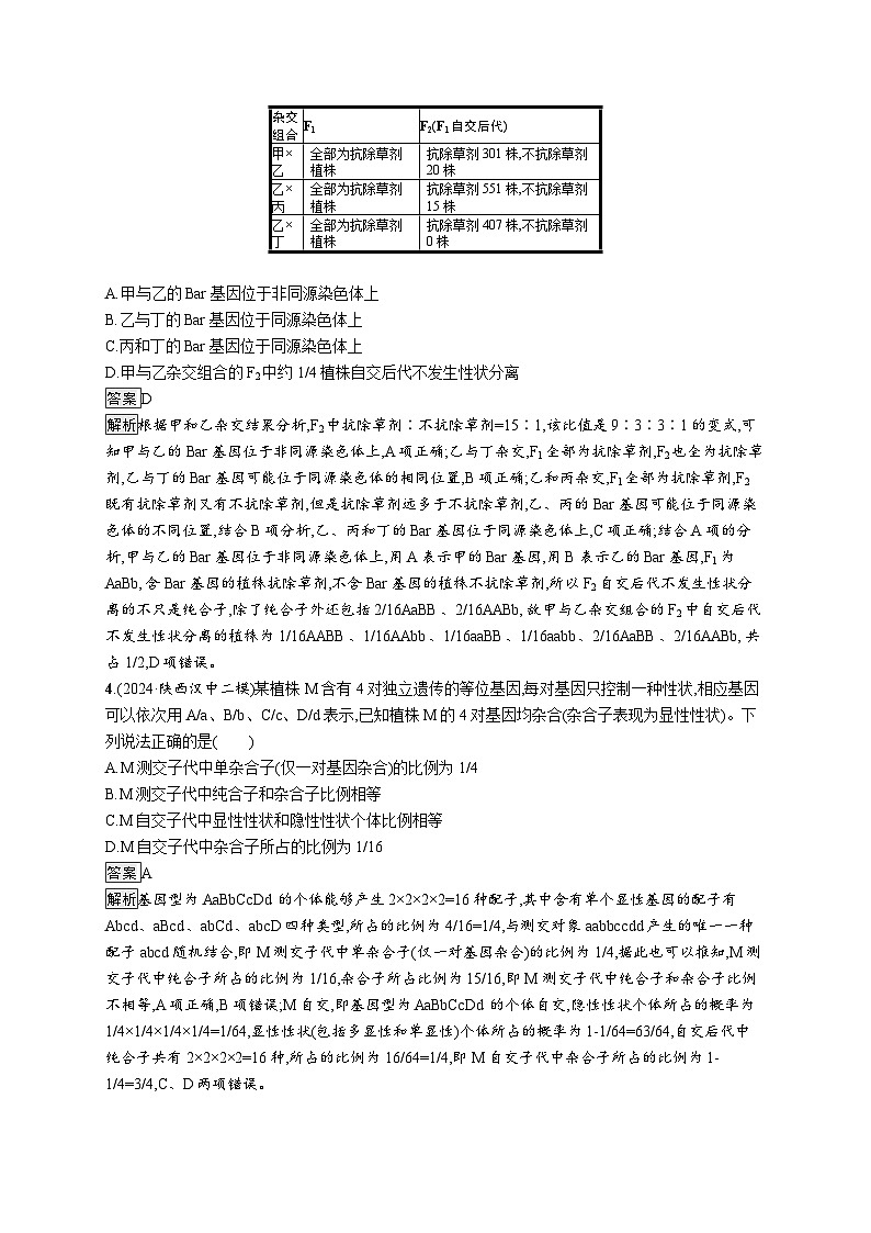 备战2025年高考二轮复习生物（山东版）知识对点小题练6遗传的基本规律和伴性遗传（Word版附解析）第2页