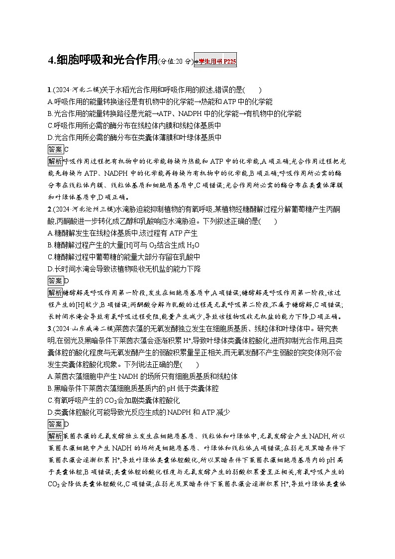备战2025年高考二轮复习生物（山东版）知识对点小题练4细胞呼吸和光合作用（Word版附解析）第1页