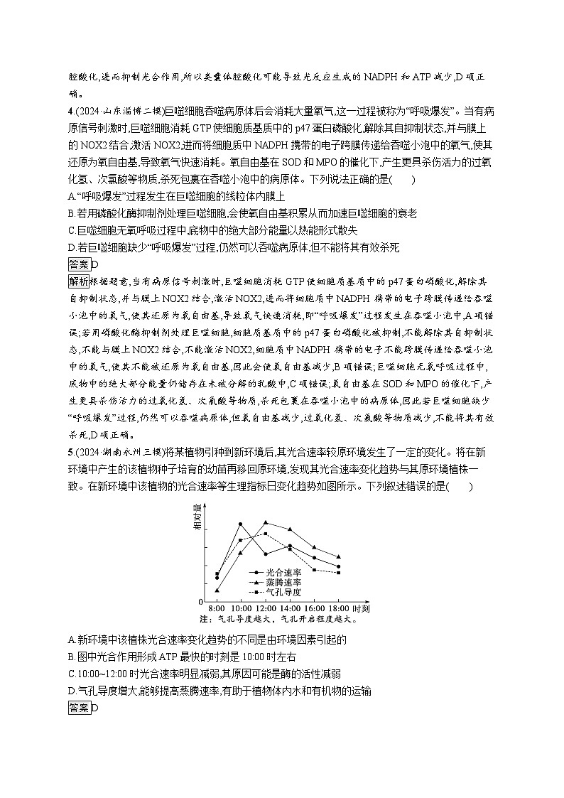 备战2025年高考二轮复习生物（山东版）知识对点小题练4细胞呼吸和光合作用（Word版附解析）第2页