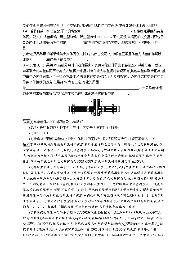 备战2025年高考二轮复习生物（山东版）大题分析与表达练2遗传推理与实验设计（Word版附解析）(1)第2页