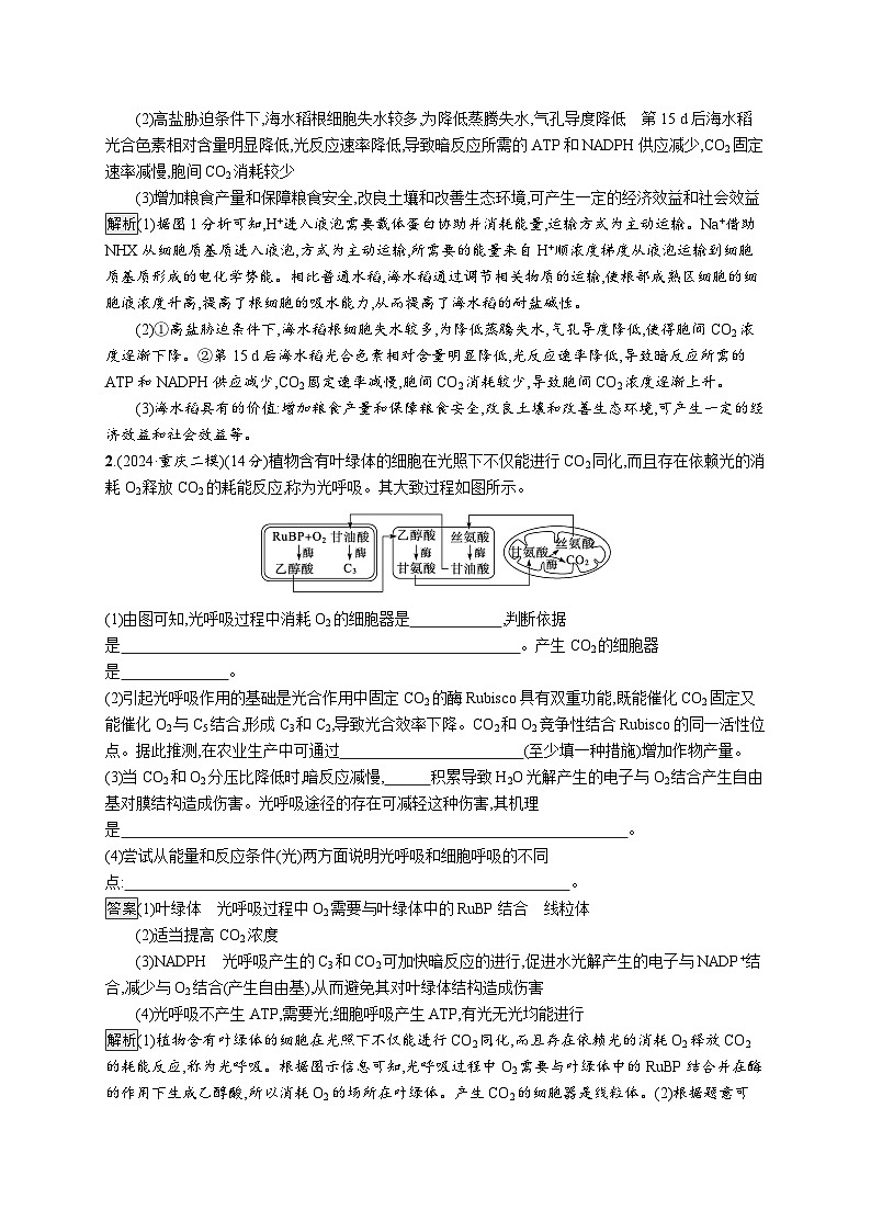 备战2025年高考二轮复习生物（山东版）大题分析与表达练1细胞代谢（Word版附解析）第2页