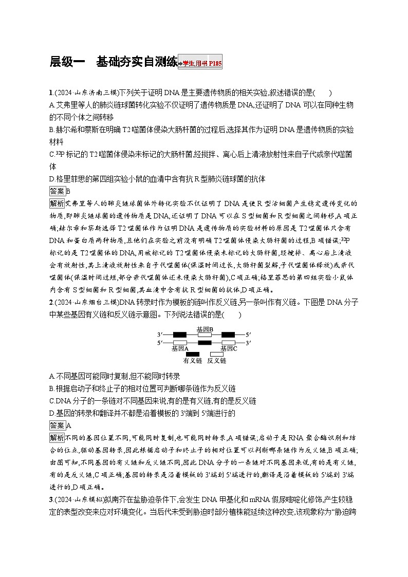 备战2025年高考二轮复习生物（山东版）大单元5遗传的分子基础、变异与进化层级一基础夯实自测练（Word版附解析）第1页