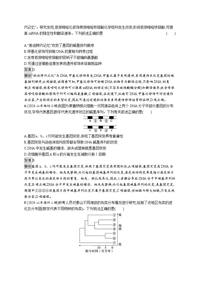 备战2025年高考二轮复习生物（山东版）大单元5遗传的分子基础、变异与进化层级一基础夯实自测练（Word版附解析）第2页