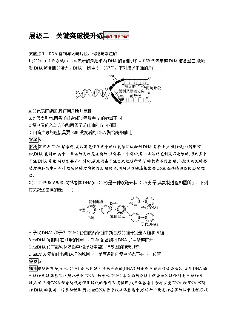 备战2025年高考二轮复习生物（山东版）大单元5遗传的分子基础、变异与进化层级二关键突破提升练（Word版附解析）01