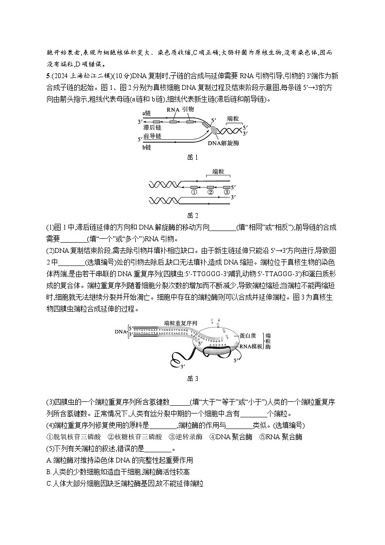 备战2025年高考二轮复习生物（山东版）大单元5遗传的分子基础、变异与进化层级二关键突破提升练（Word版附解析）03