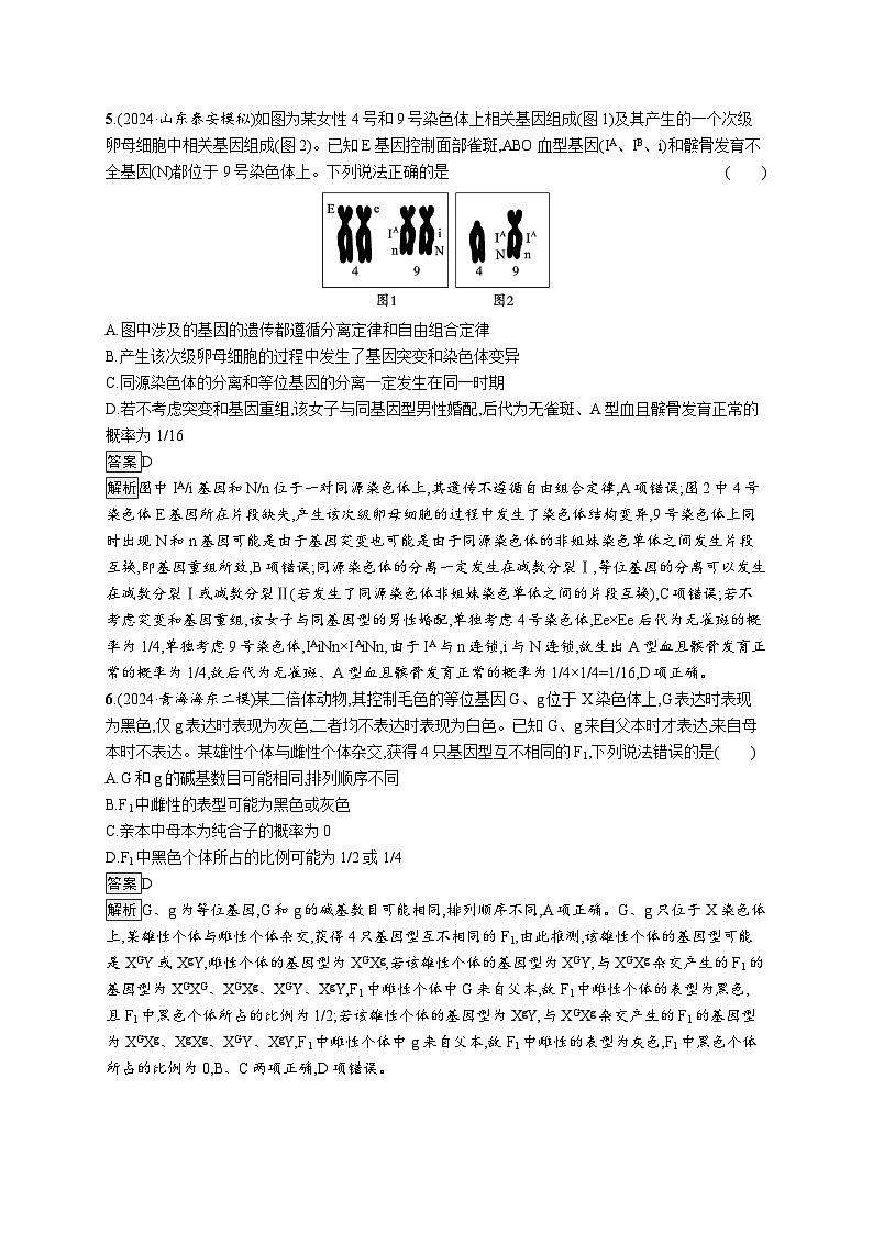 备战2025年高考二轮复习生物（山东版）大单元4遗传信息控制生物性状的遗传规律层级一基础夯实自测练（Word版附解析）第3页