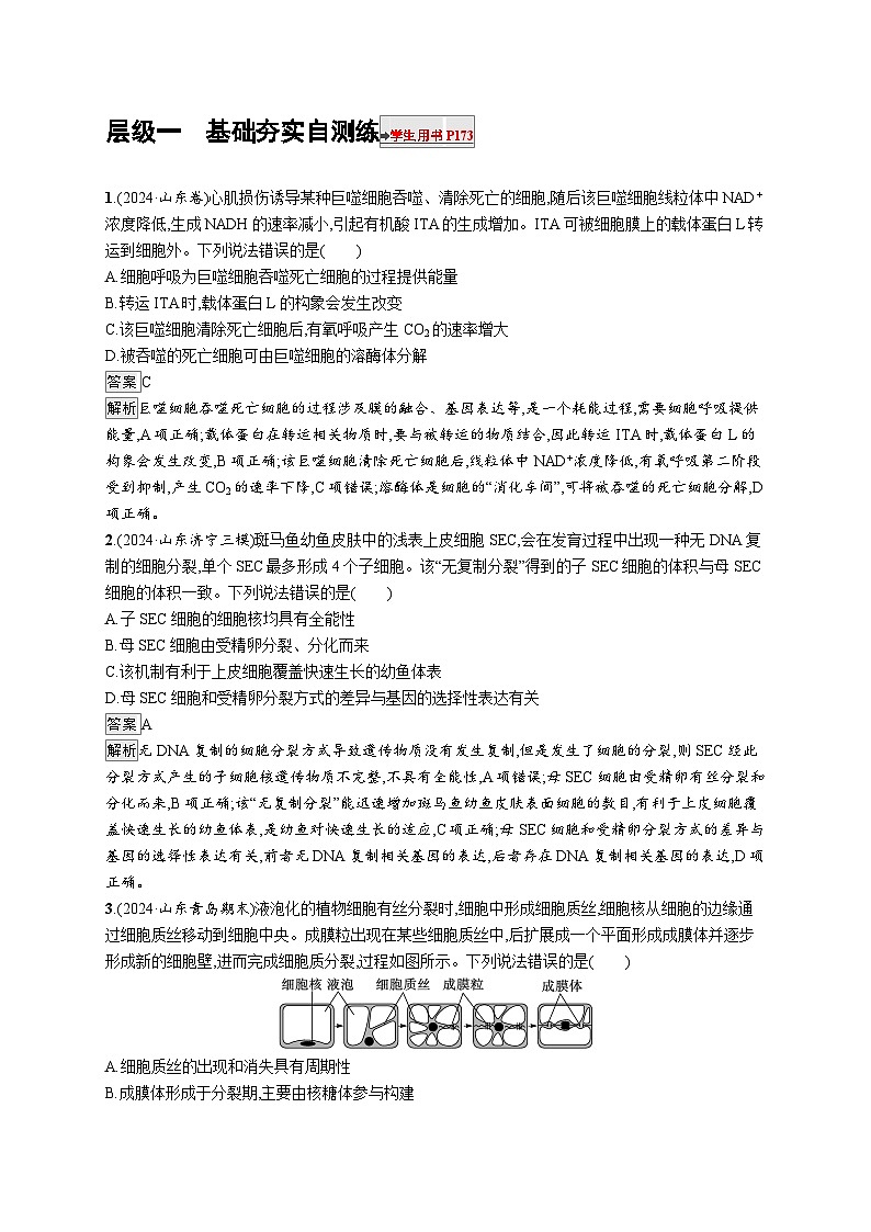 备战2025年高考二轮复习生物（山东版）大单元3细胞的增殖、分化、衰老和死亡等生命历程层级一基础夯实自测练（Word版附解析）第1页