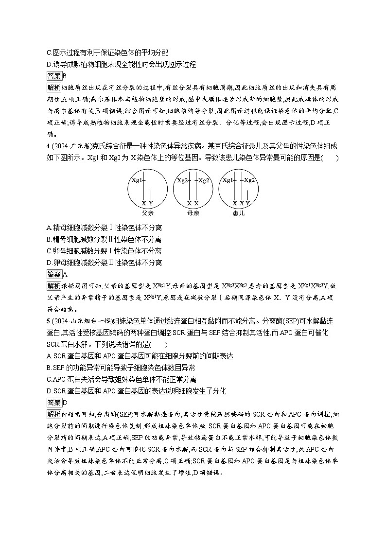备战2025年高考二轮复习生物（山东版）大单元3细胞的增殖、分化、衰老和死亡等生命历程层级一基础夯实自测练（Word版附解析）第2页