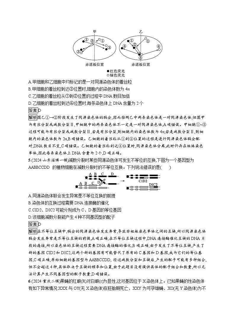 备战2025年高考二轮复习生物（山东版）大单元3细胞的增殖、分化、衰老和死亡等生命历程层级二关键突破提升练（Word版附解析）第3页