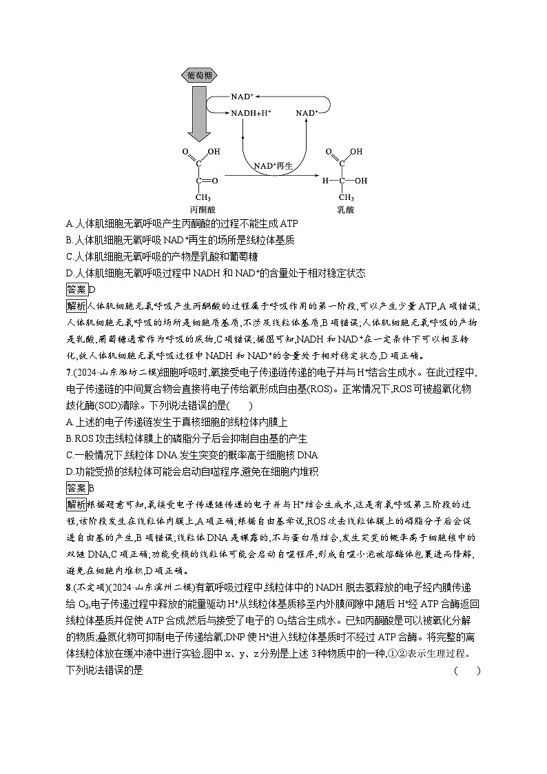 备战2025年高考二轮复习生物（山东版）大单元2细胞的生存需要能量和营养物质层级二关键突破提升练（Word版附解析）第3页