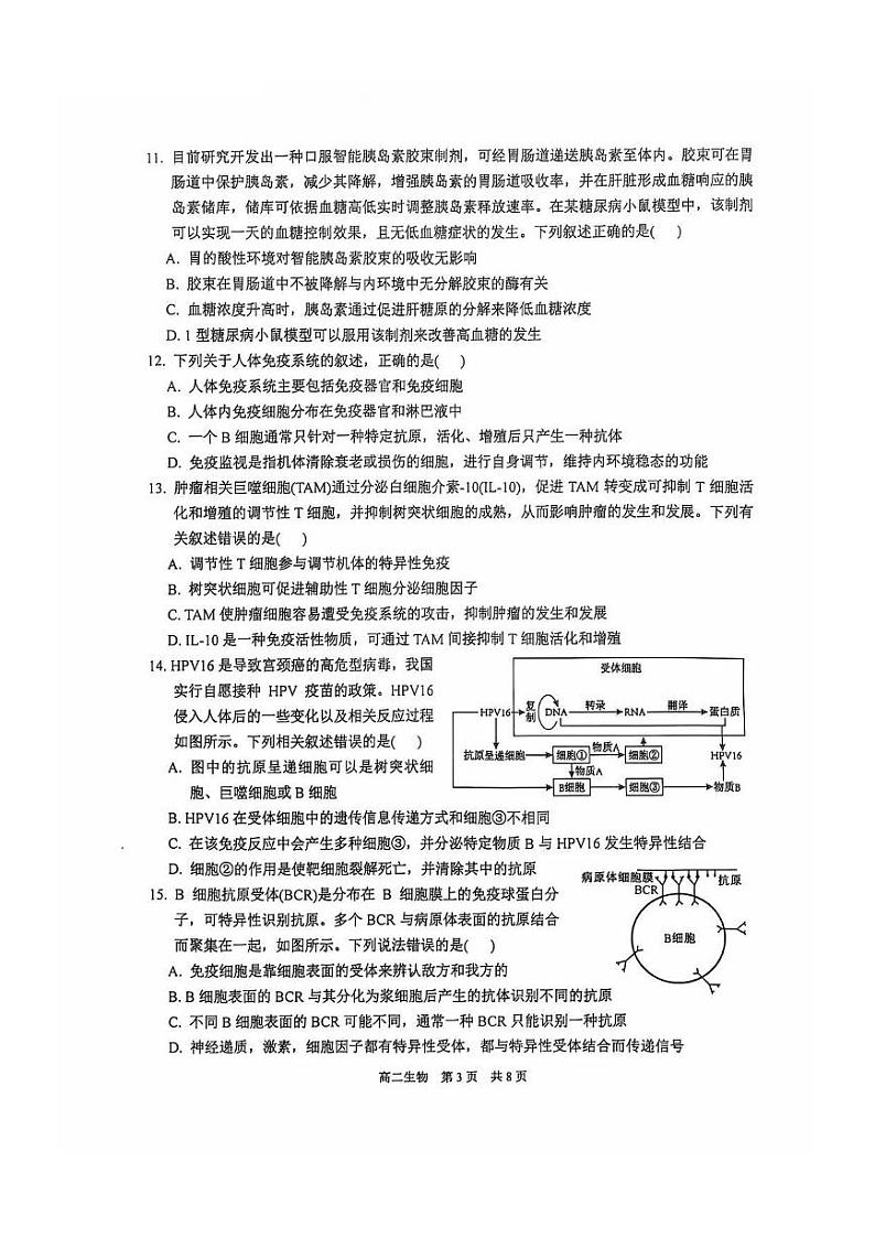 【生物试题】苏州市2024-2025学年高二上学期期中考试第3页