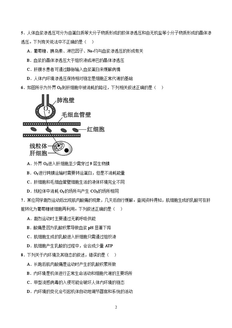 四川省成都外国语学校2024-2025学年高二上学期10月月考试题 生物 Word版含答案02