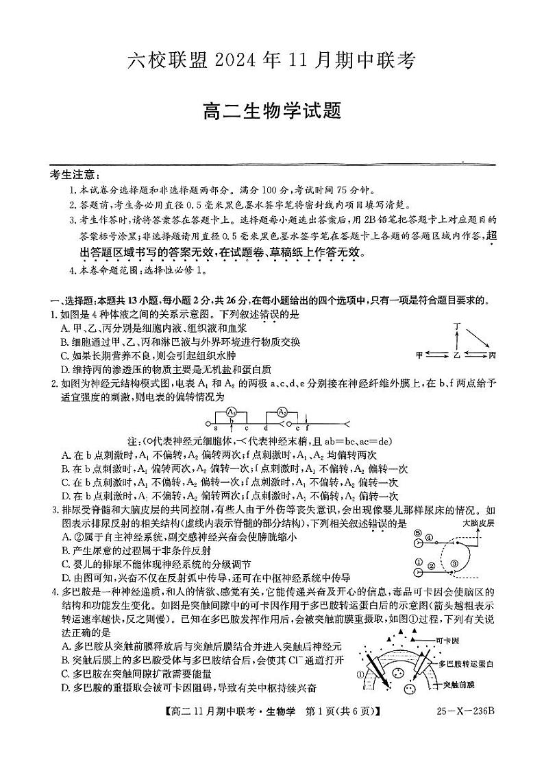 河北省保定市六校2024-2025学年高二上学期11月期中生物试题 第1页