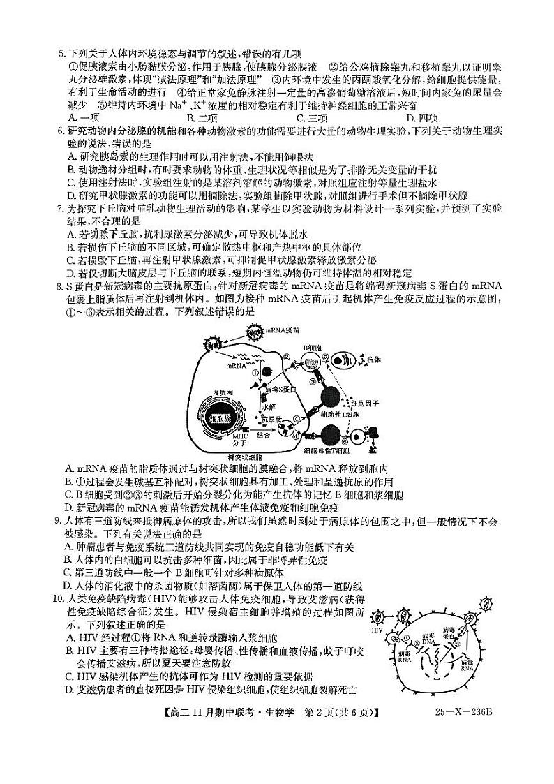 河北省保定市六校2024-2025学年高二上学期11月期中生物试题 第2页