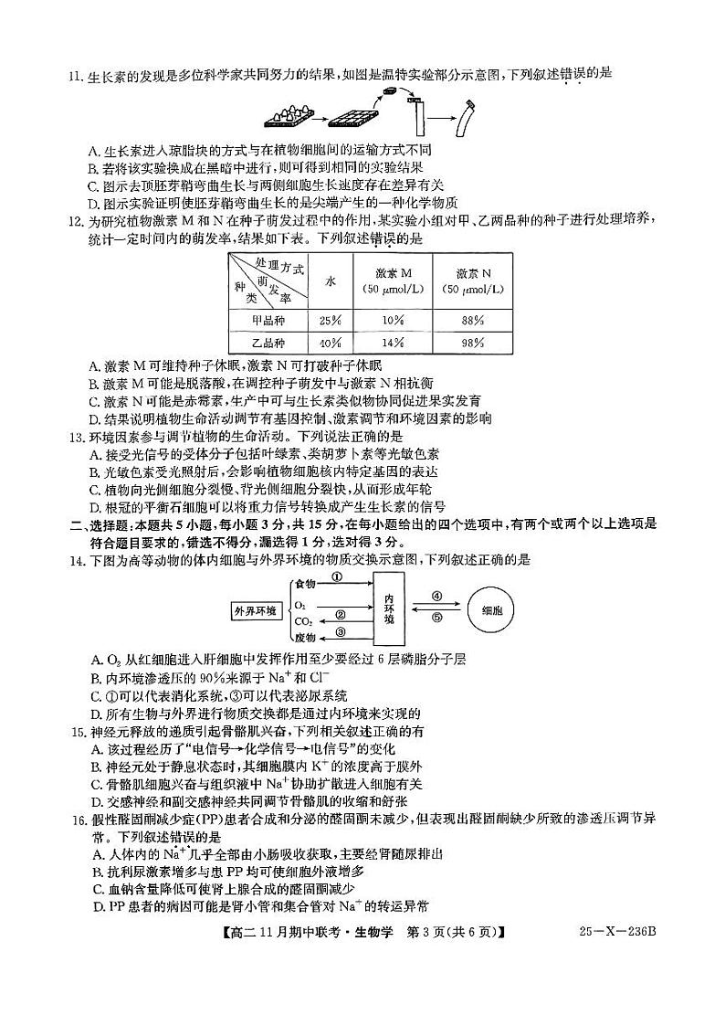 河北省保定市六校2024-2025学年高二上学期11月期中生物试题 第3页