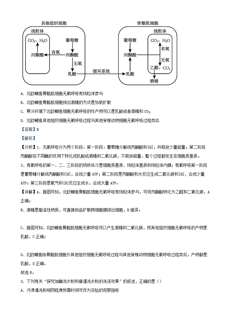 福建省厦门市2023_2024学年高三生物上学期11月期中试题含解析第2页