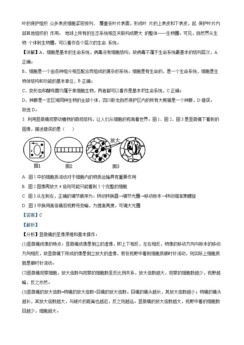 精品解析：安徽省宿州市省示范高中2024-2025学年高一上学期期中教学质量检测生物试题（解析版）第2页