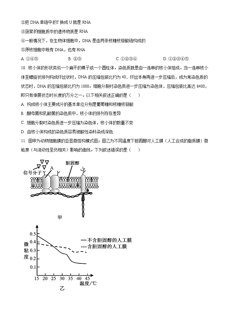 精品解析：安徽省宿州市省示范高中2024-2025学年高一上学期期中教学质量检测生物试题（原卷版）第3页