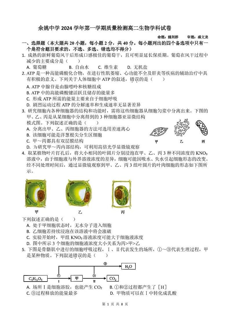 浙江省宁波市余姚中学2024-2025学年高二上学期10月月考生物试题 PDF版含答案01