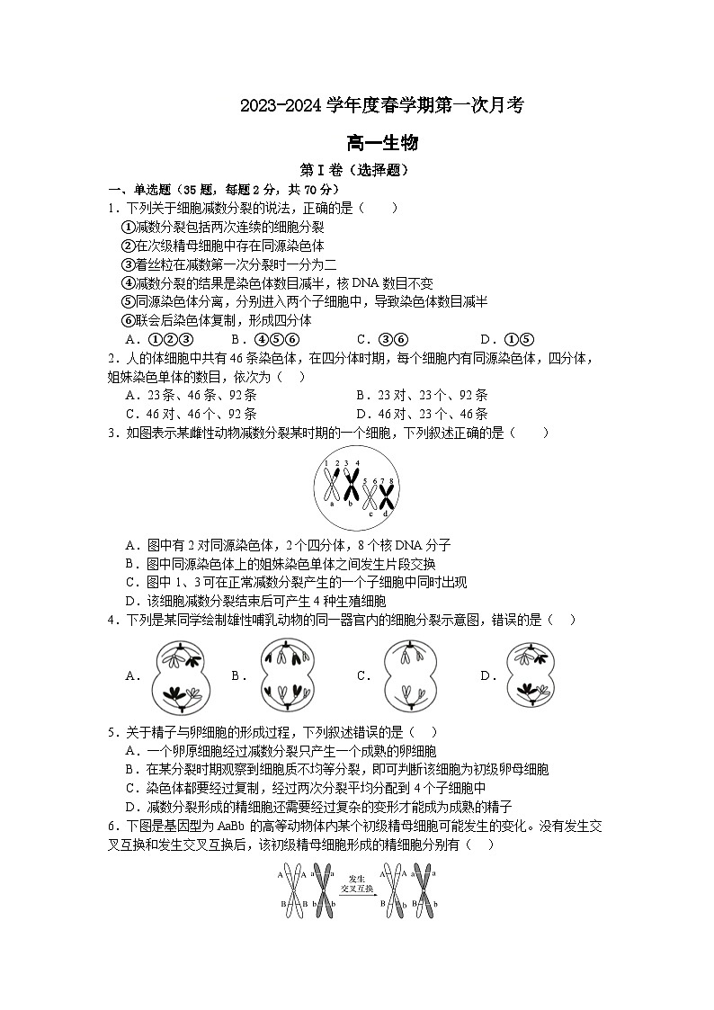 江苏省扬州市扬州大学附属中学东部分校2023-2024学年高一下学期第一次月考生物试卷第1页