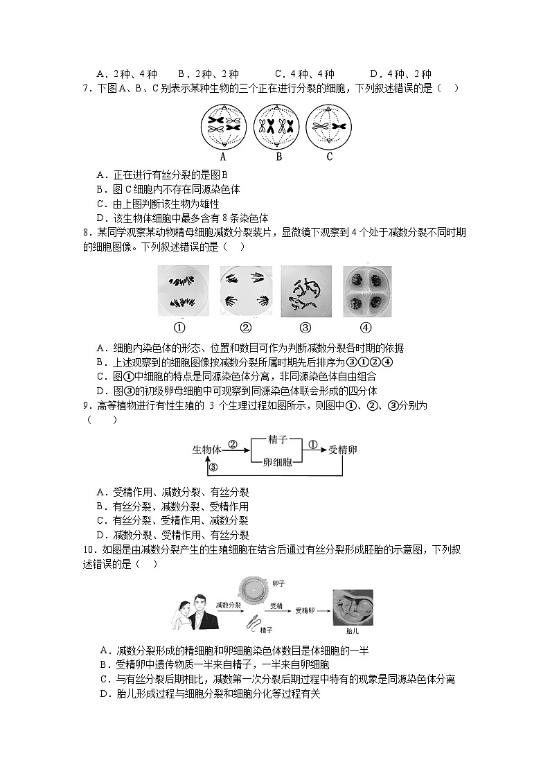 江苏省扬州市扬州大学附属中学东部分校2023-2024学年高一下学期第一次月考生物试卷第2页