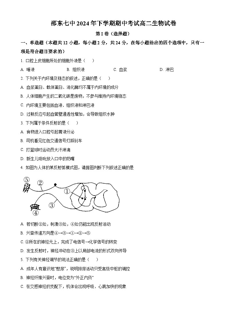 精品解析：湖南省邵阳市第七中学2024-2025学年高二上学期期中考试生物试题（原卷版）第1页