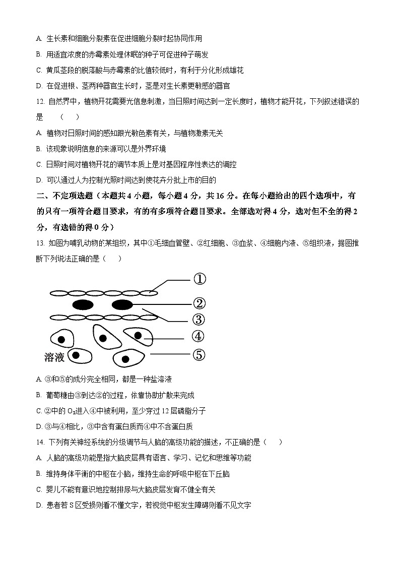 精品解析：湖南省邵阳市第七中学2024-2025学年高二上学期期中考试生物试题（原卷版）第3页