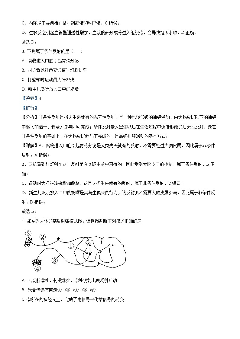 精品解析：湖南省邵阳市第七中学2024-2025学年高二上学期期中考试生物试题（解析版）第2页