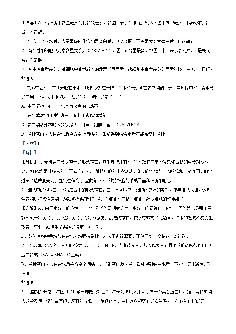 精品解析：广东省深圳市高级中学高中园2024-2025学年高一上学期期中测试生物试卷（解析版）第3页