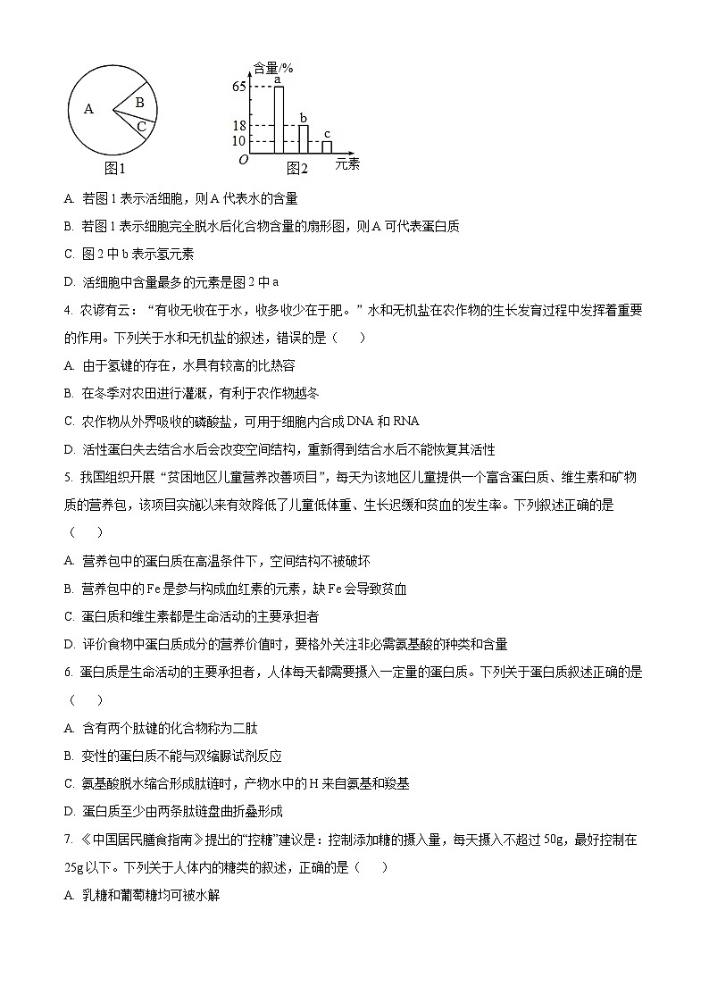 精品解析：广东省深圳市高级中学高中园2024-2025学年高一上学期期中测试生物试卷（原卷版）第2页