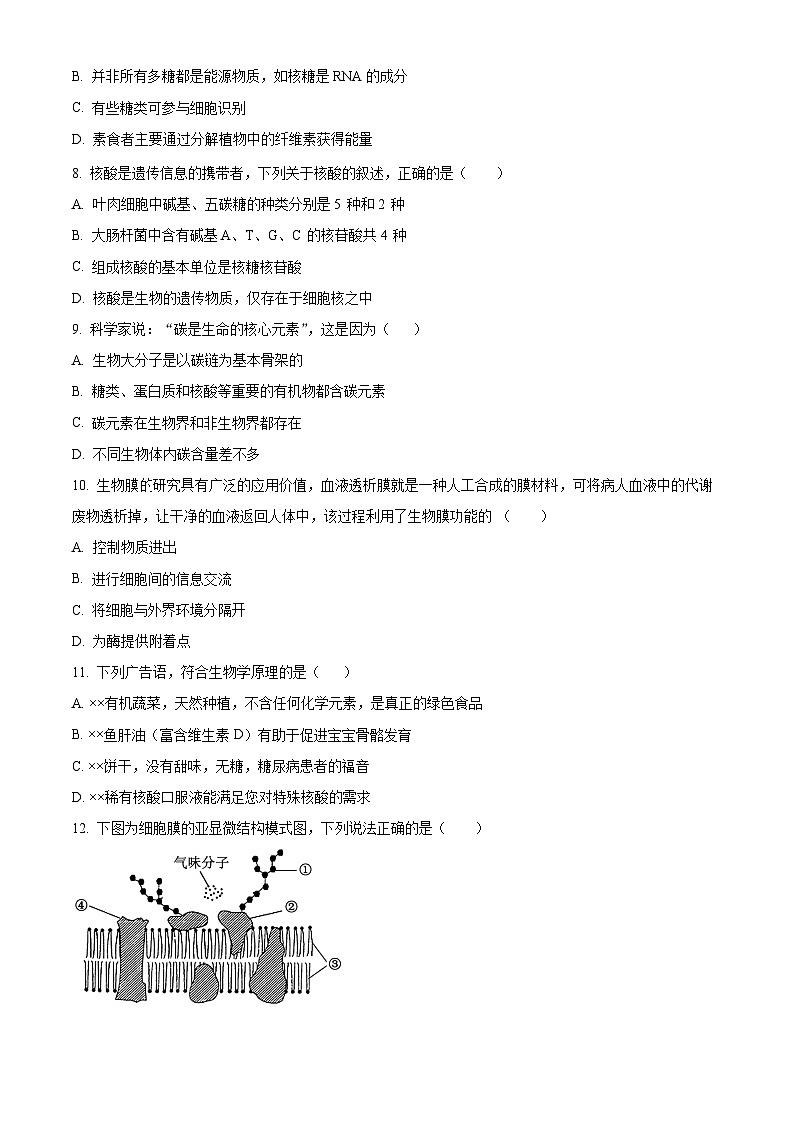 精品解析：广东省深圳市高级中学高中园2024-2025学年高一上学期期中测试生物试卷（原卷版）第3页