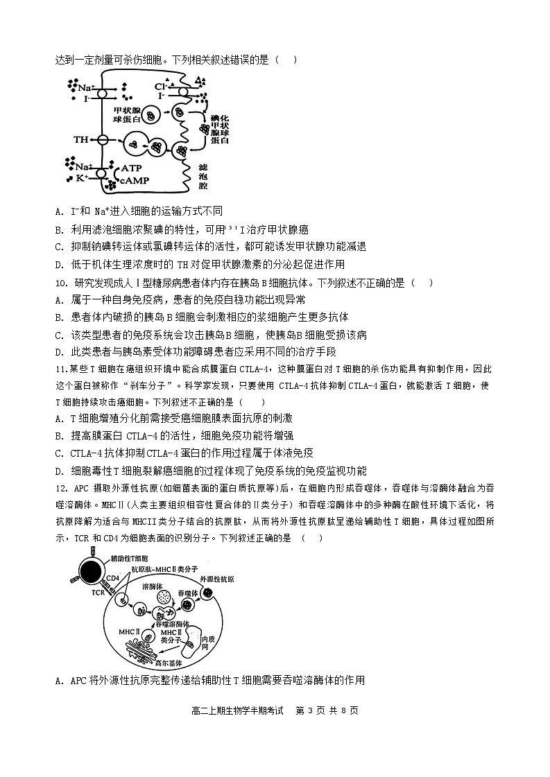 四川省自贡市蜀光中学2024-2025学年高二上学期期中考试生物试题03