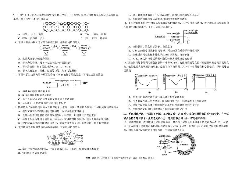 吉林省长春市吉林大学附属中学2024-2025学年高一上学期期中考试生物试题第2页