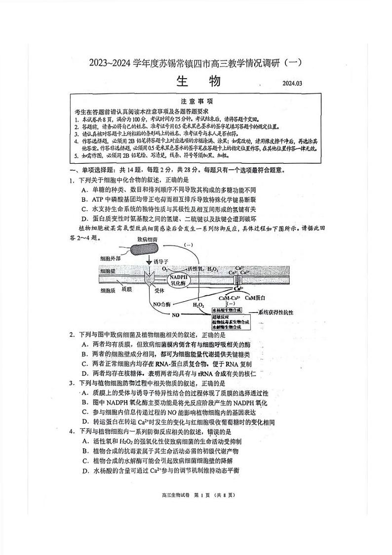 2024年苏锡常镇四市高三一模生物试卷及答案第1页