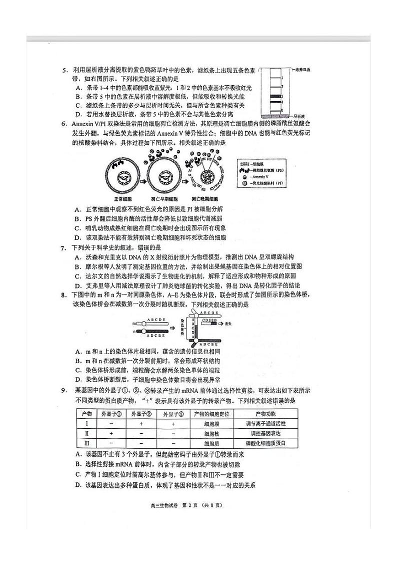 2024年苏锡常镇四市高三一模生物试卷及答案第2页
