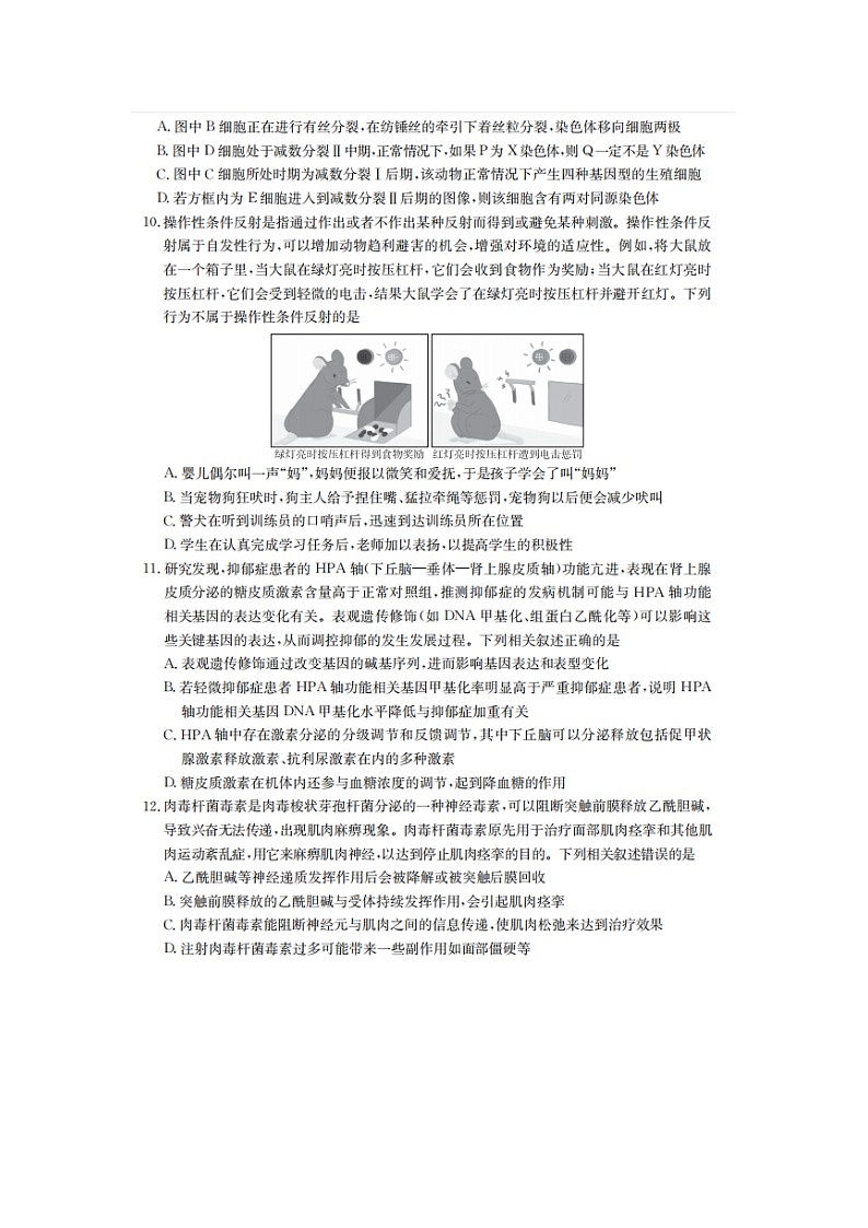 生物试卷第3页
